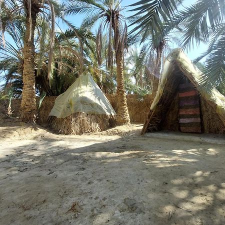 Forest Camp Siwa - كامب الغابة Siwa Oasis Zewnętrze zdjęcie