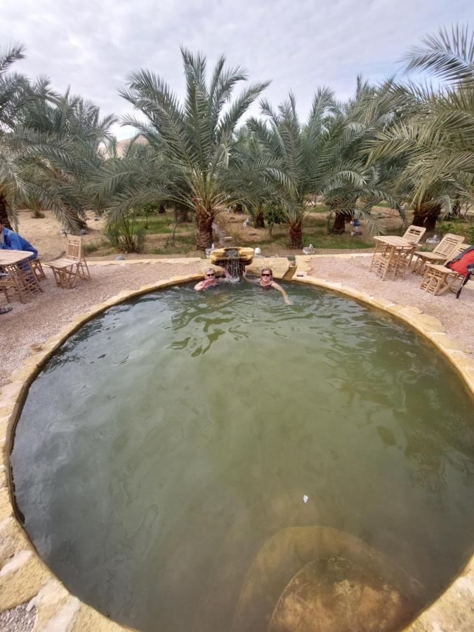 Forest Camp Siwa - كامب الغابة Siwa Oasis Zewnętrze zdjęcie