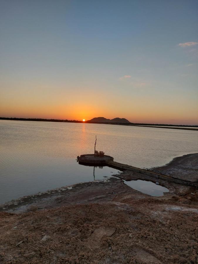 Forest Camp Siwa - كامب الغابة Siwa Oasis Zewnętrze zdjęcie