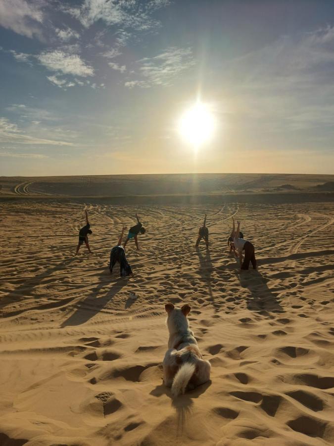 Forest Camp Siwa - كامب الغابة Siwa Oasis Zewnętrze zdjęcie