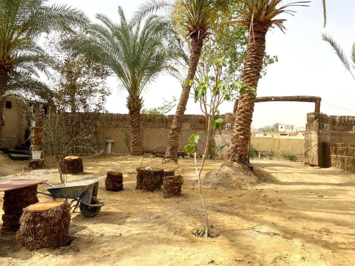 Forest Camp Siwa - كامب الغابة Siwa Oasis Zewnętrze zdjęcie