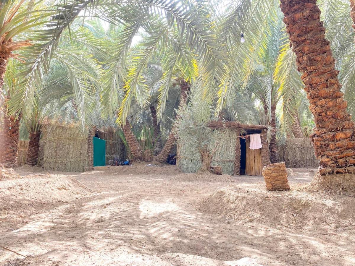 Forest Camp Siwa - كامب الغابة Siwa Oasis Zewnętrze zdjęcie