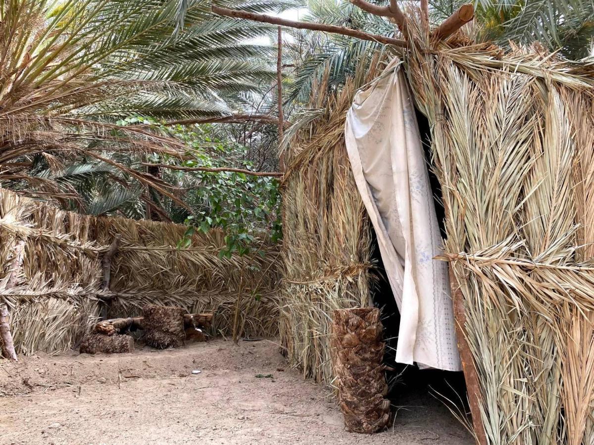 Forest Camp Siwa - كامب الغابة Siwa Oasis Zewnętrze zdjęcie