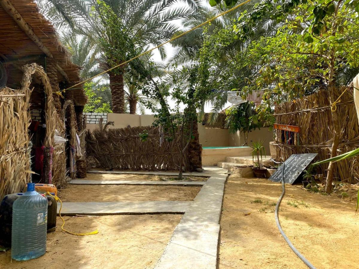 Forest Camp Siwa - كامب الغابة Siwa Oasis Zewnętrze zdjęcie