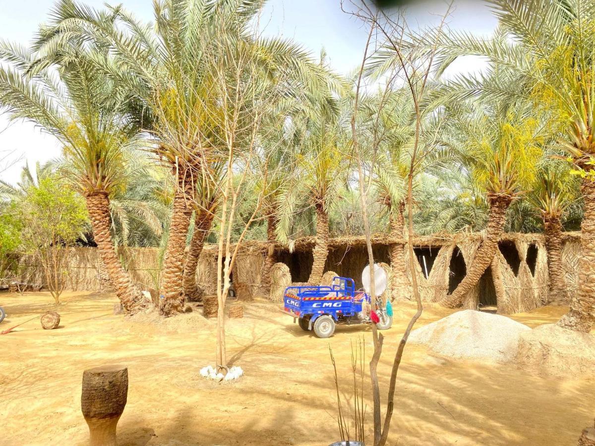 Forest Camp Siwa - كامب الغابة Siwa Oasis Zewnętrze zdjęcie