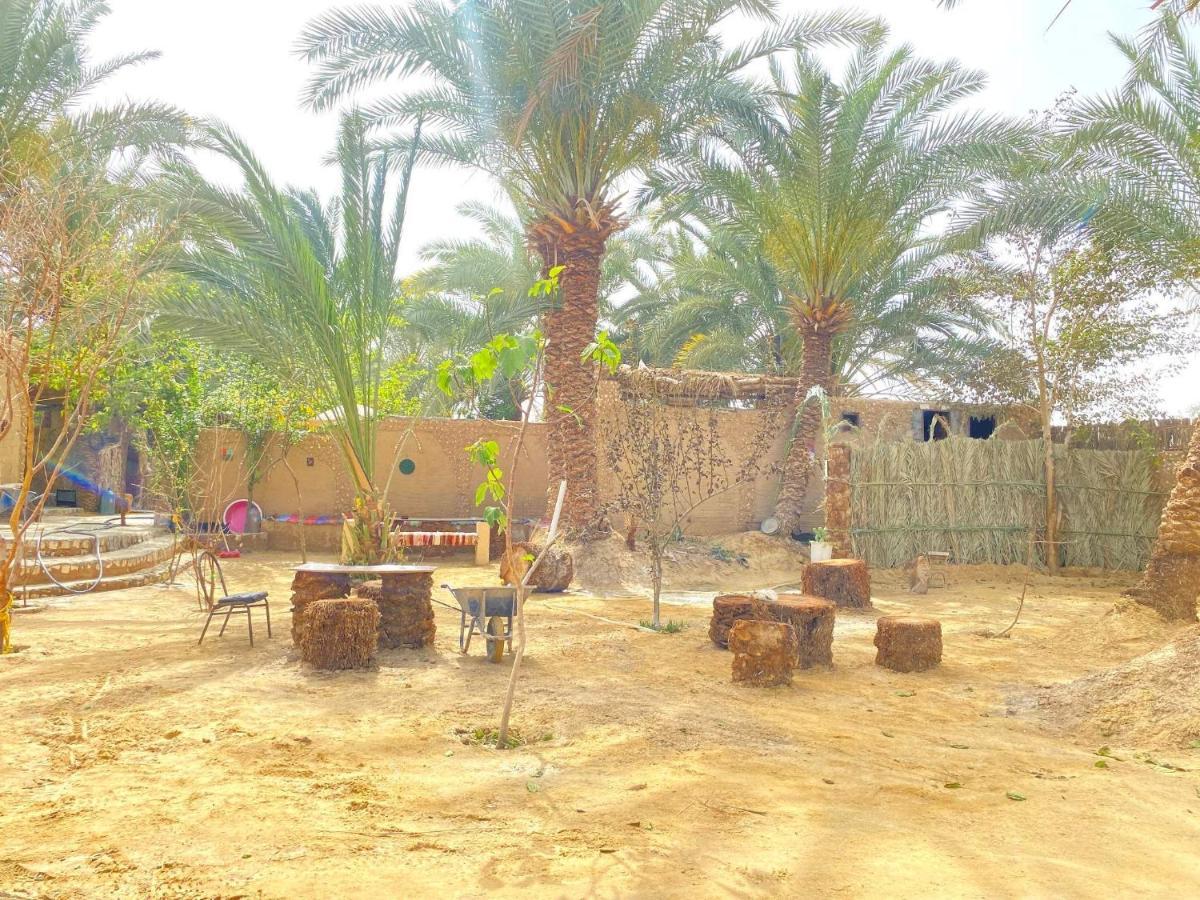 Forest Camp Siwa - كامب الغابة Siwa Oasis Zewnętrze zdjęcie