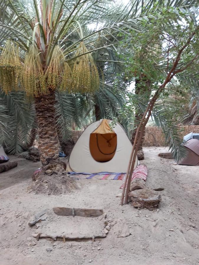 Forest Camp Siwa - كامب الغابة Siwa Oasis Zewnętrze zdjęcie