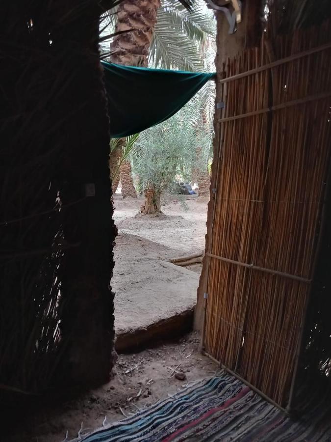 Forest Camp Siwa - كامب الغابة Siwa Oasis Zewnętrze zdjęcie