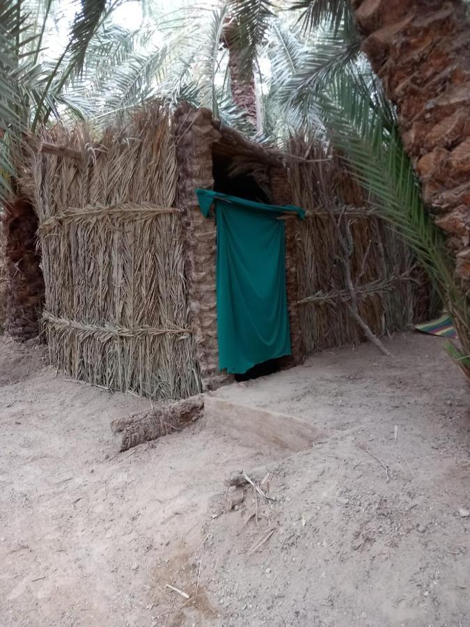 Forest Camp Siwa - كامب الغابة Siwa Oasis Zewnętrze zdjęcie