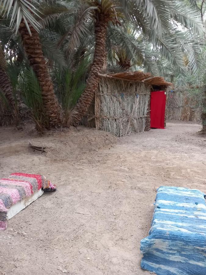 Forest Camp Siwa - كامب الغابة Siwa Oasis Zewnętrze zdjęcie