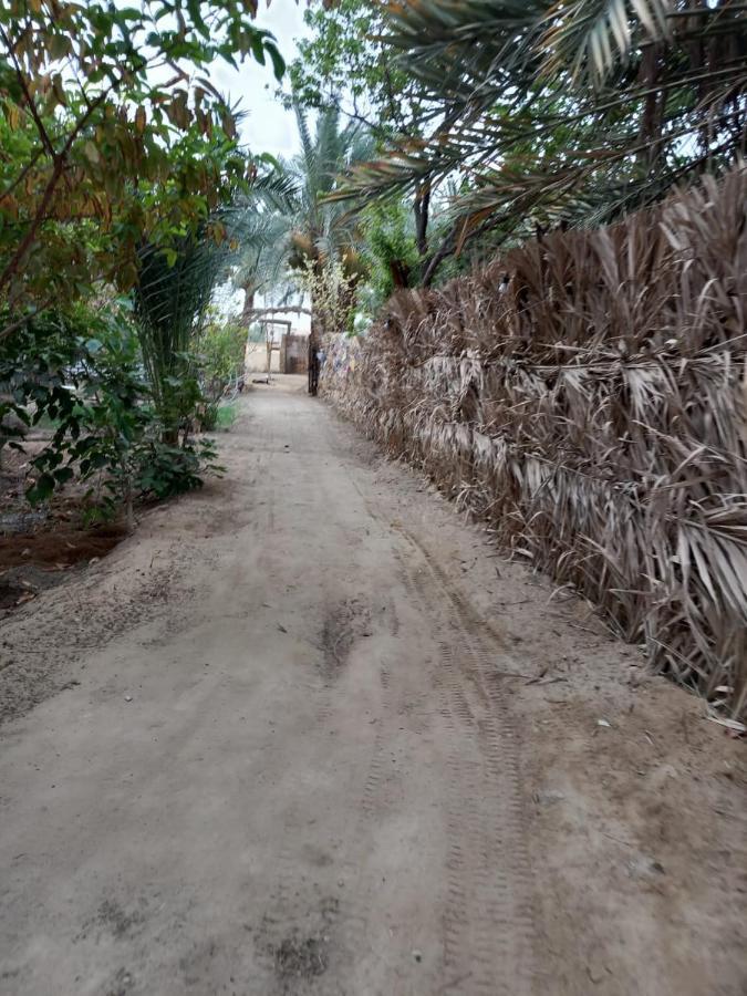 Forest Camp Siwa - كامب الغابة Siwa Oasis Zewnętrze zdjęcie