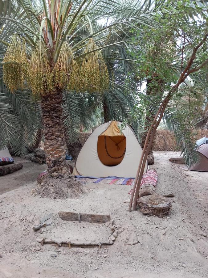 Forest Camp Siwa - كامب الغابة Siwa Oasis Zewnętrze zdjęcie