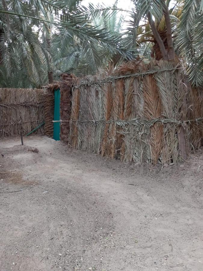 Forest Camp Siwa - كامب الغابة Siwa Oasis Zewnętrze zdjęcie