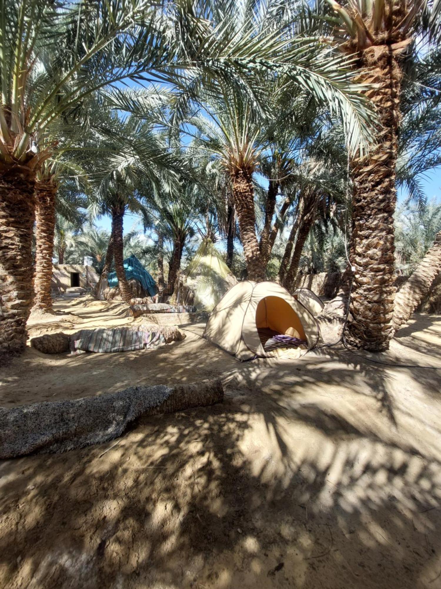 Forest Camp Siwa - كامب الغابة Siwa Oasis Zewnętrze zdjęcie