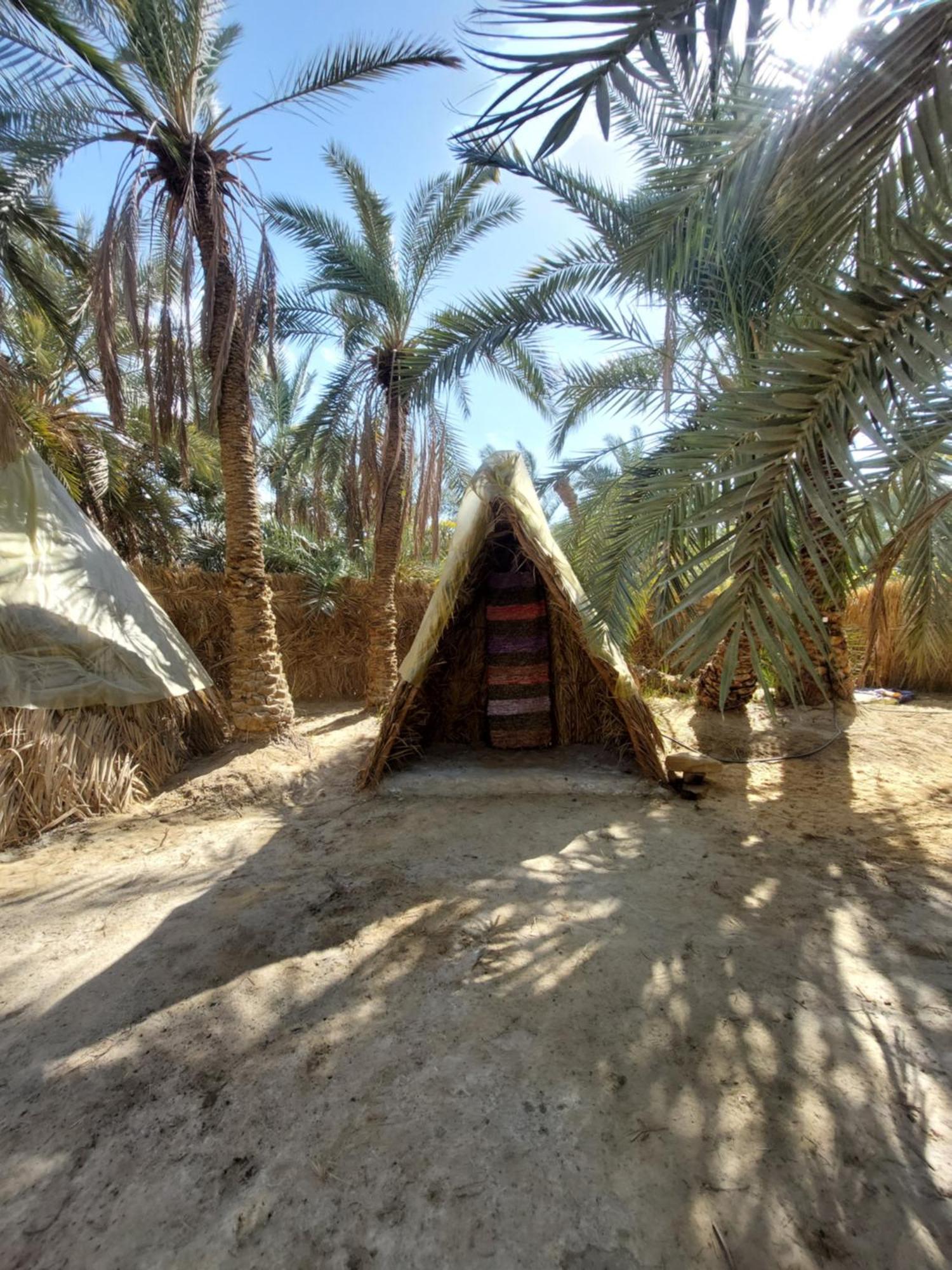 Forest Camp Siwa - كامب الغابة Siwa Oasis Zewnętrze zdjęcie