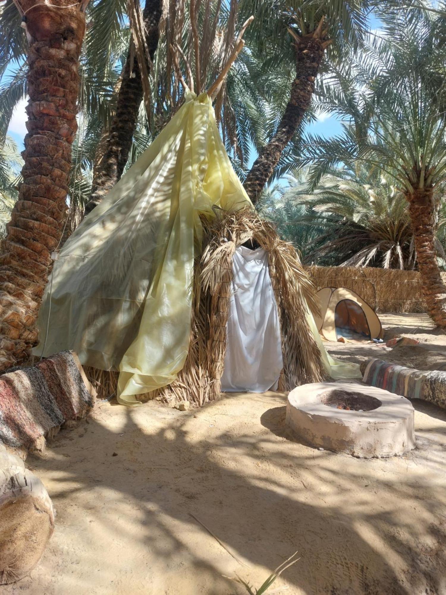 Forest Camp Siwa - كامب الغابة Siwa Oasis Zewnętrze zdjęcie