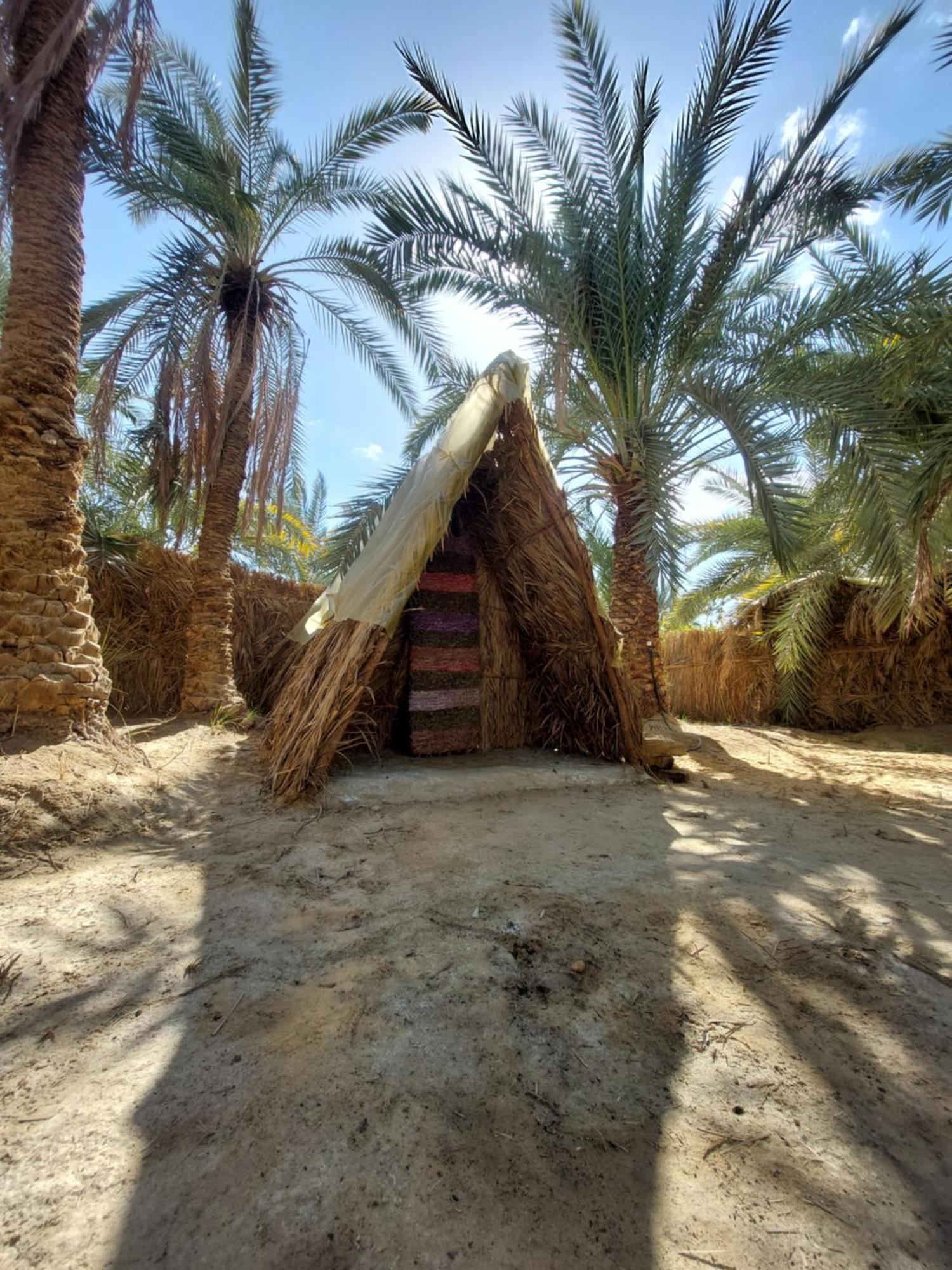 Forest Camp Siwa - كامب الغابة Siwa Oasis Zewnętrze zdjęcie