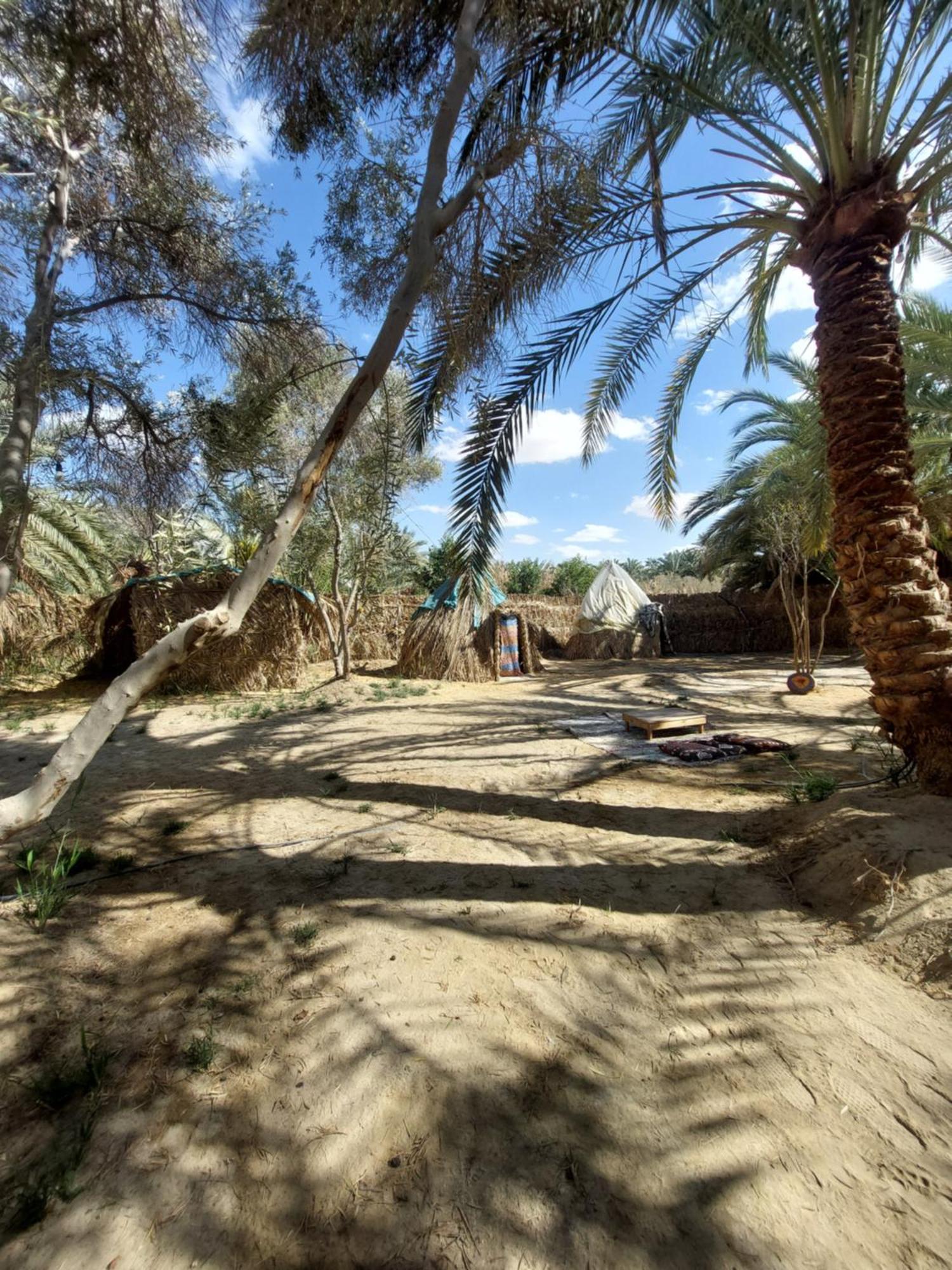 Forest Camp Siwa - كامب الغابة Siwa Oasis Zewnętrze zdjęcie