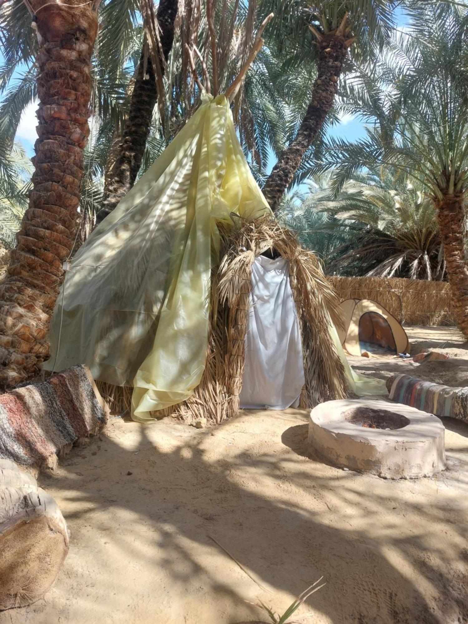 Forest Camp Siwa - كامب الغابة Siwa Oasis Zewnętrze zdjęcie