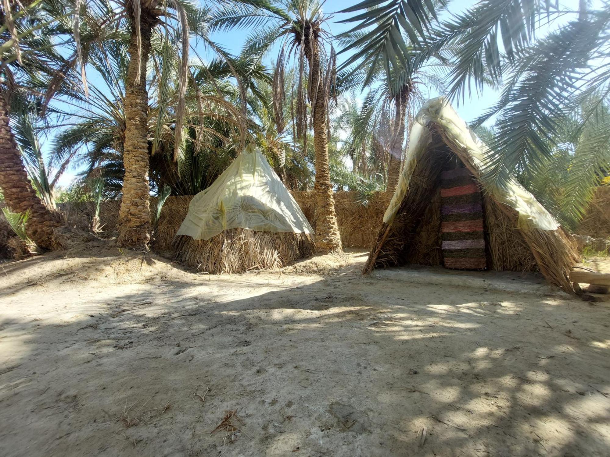 Forest Camp Siwa - كامب الغابة Siwa Oasis Zewnętrze zdjęcie