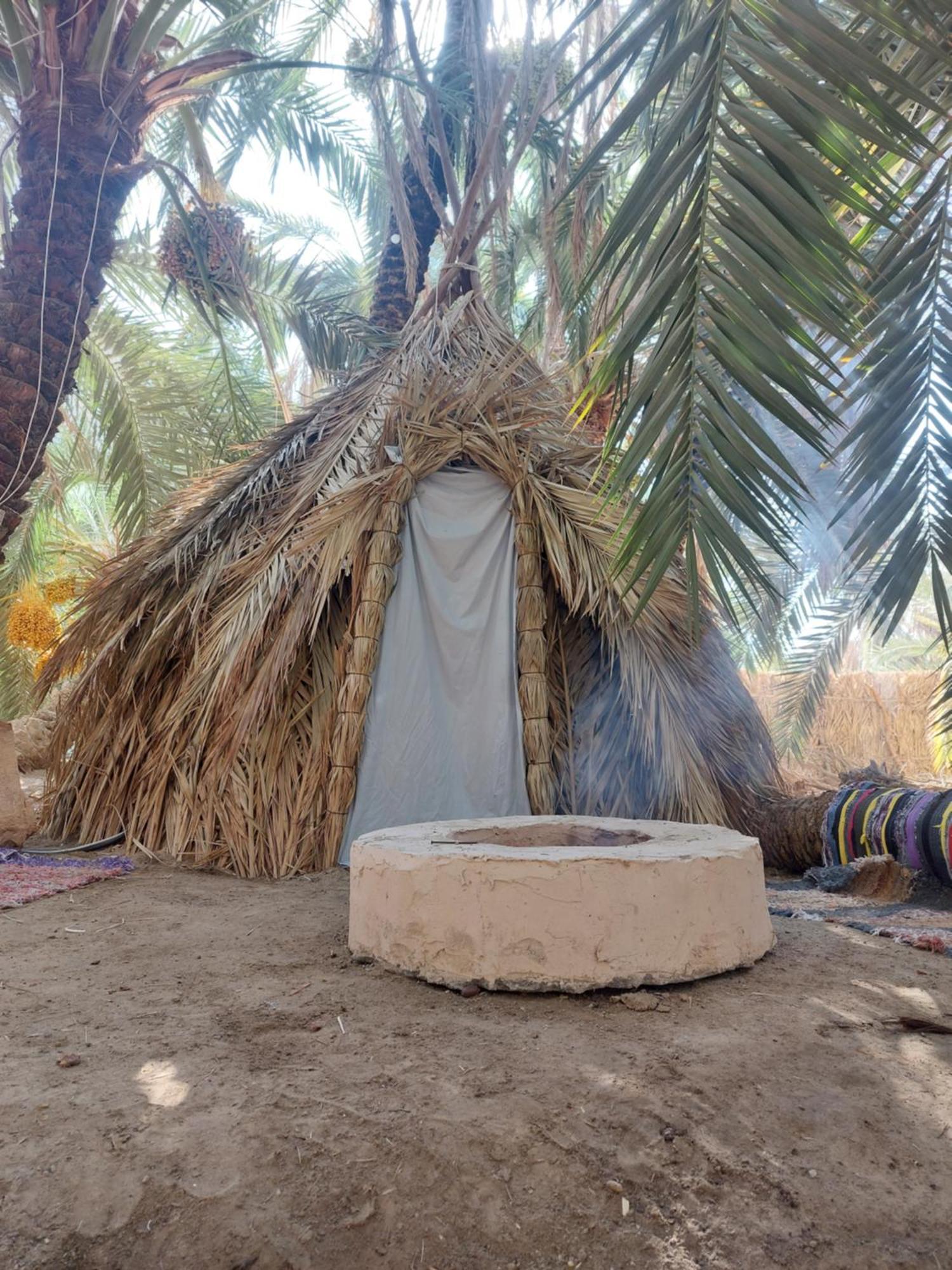 Forest Camp Siwa - كامب الغابة Siwa Oasis Zewnętrze zdjęcie