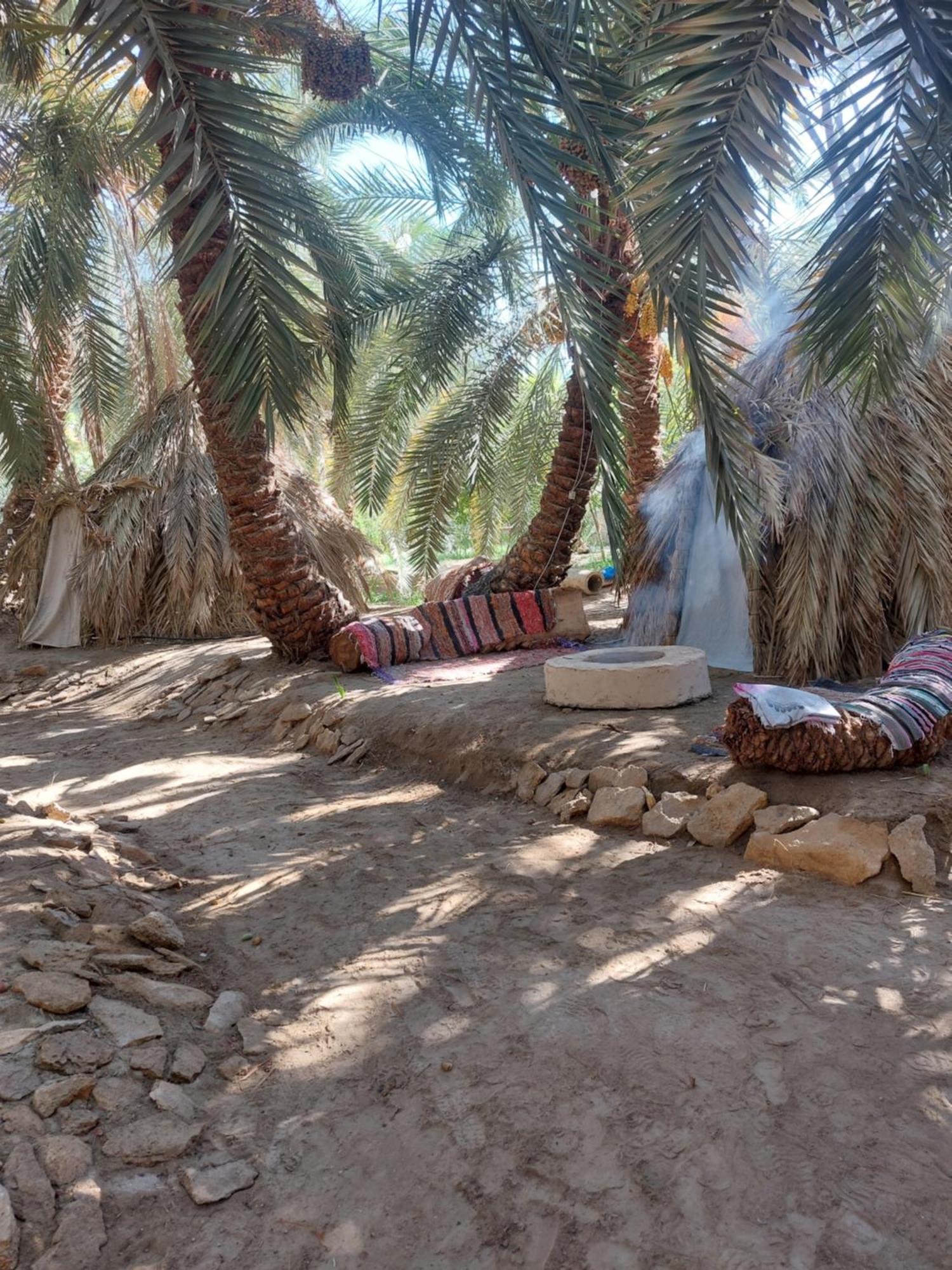 Forest Camp Siwa - كامب الغابة Siwa Oasis Zewnętrze zdjęcie