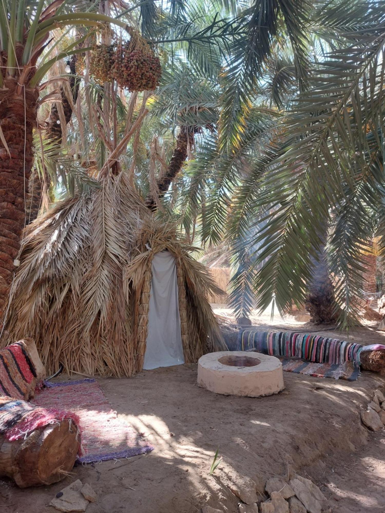 Forest Camp Siwa - كامب الغابة Siwa Oasis Zewnętrze zdjęcie