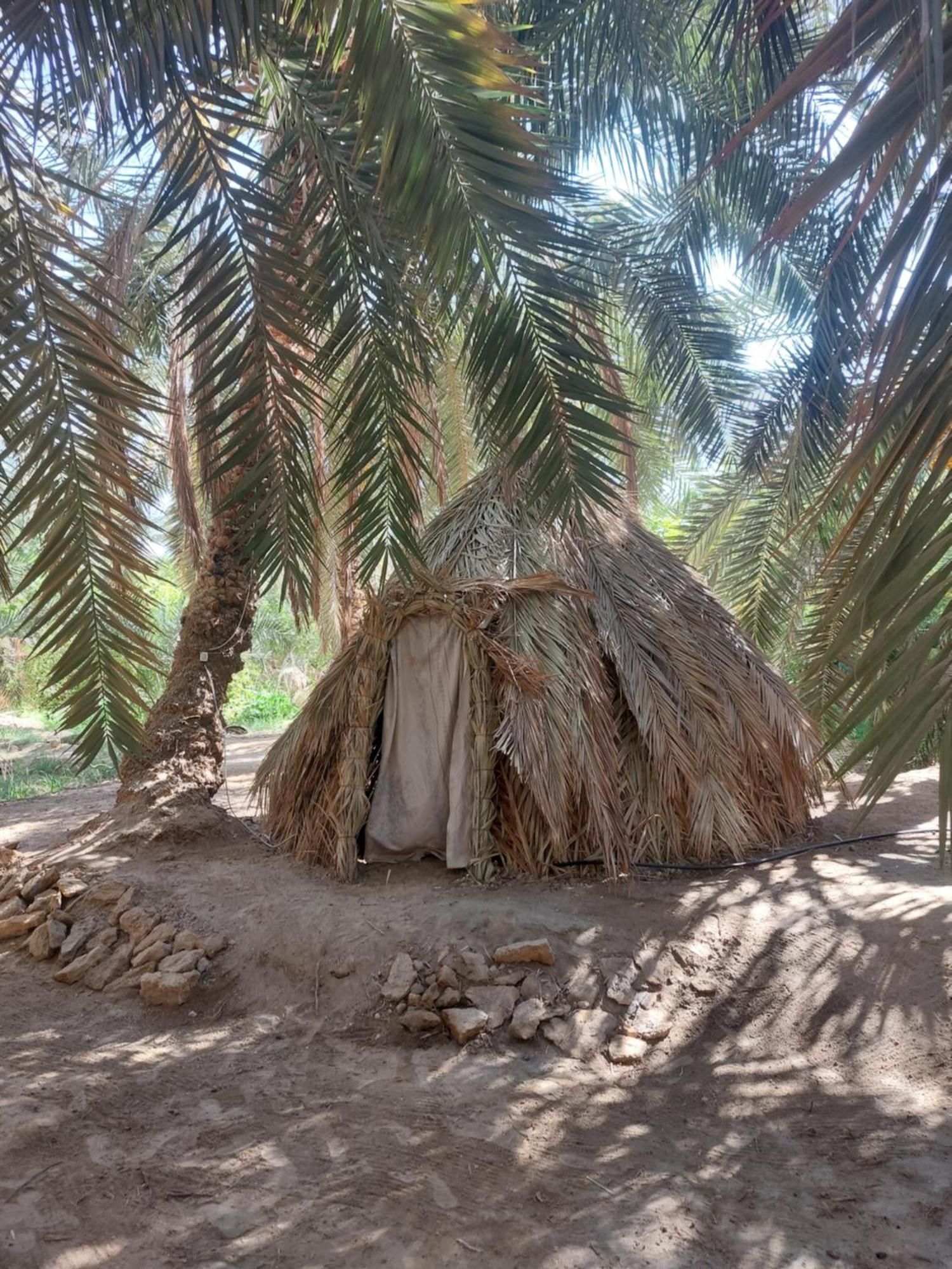 Forest Camp Siwa - كامب الغابة Siwa Oasis Zewnętrze zdjęcie