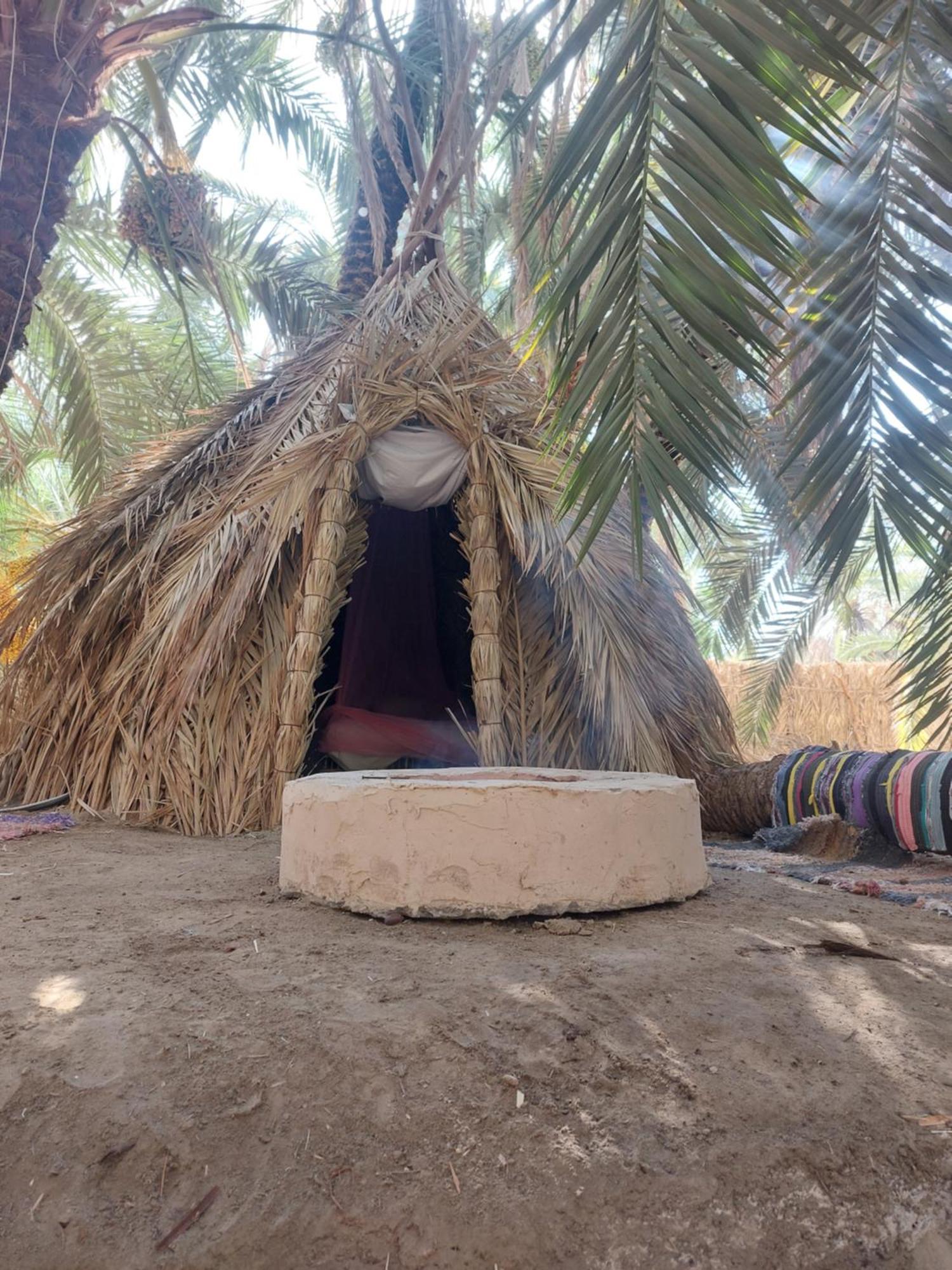 Forest Camp Siwa - كامب الغابة Siwa Oasis Zewnętrze zdjęcie