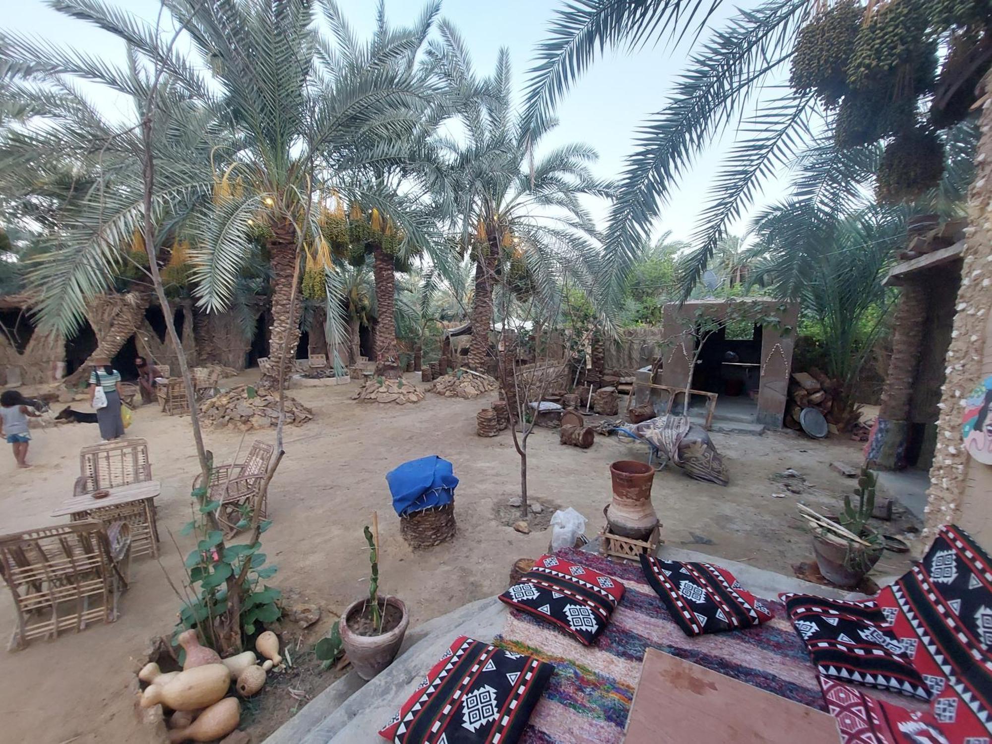 Forest Camp Siwa - كامب الغابة Siwa Oasis Zewnętrze zdjęcie