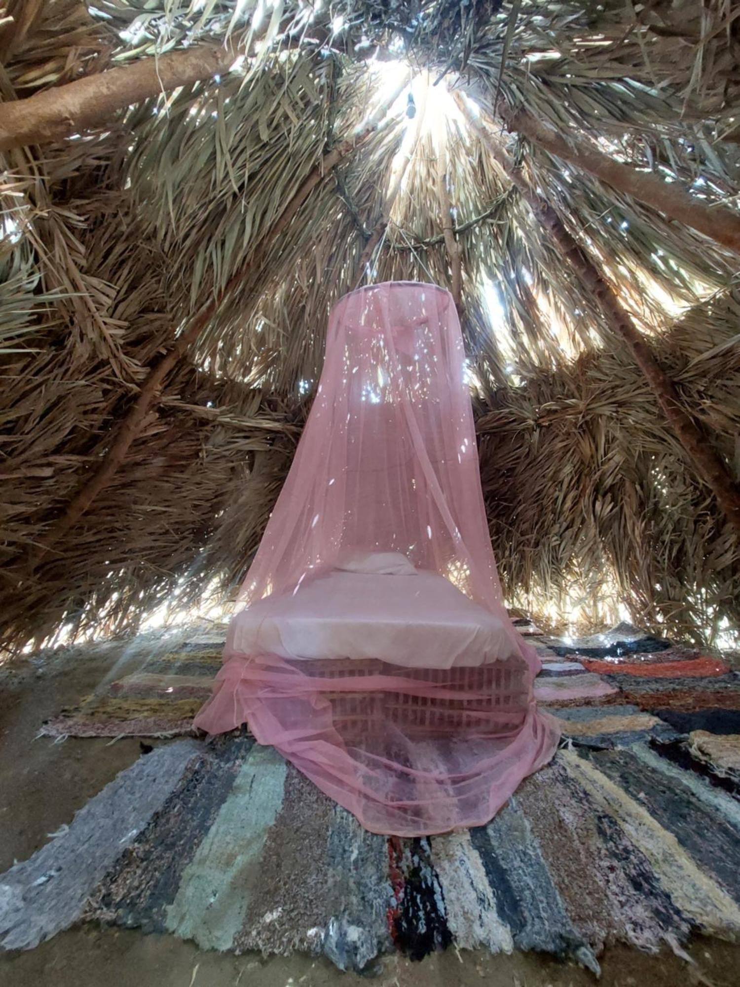 Forest Camp Siwa - كامب الغابة Siwa Oasis Zewnętrze zdjęcie