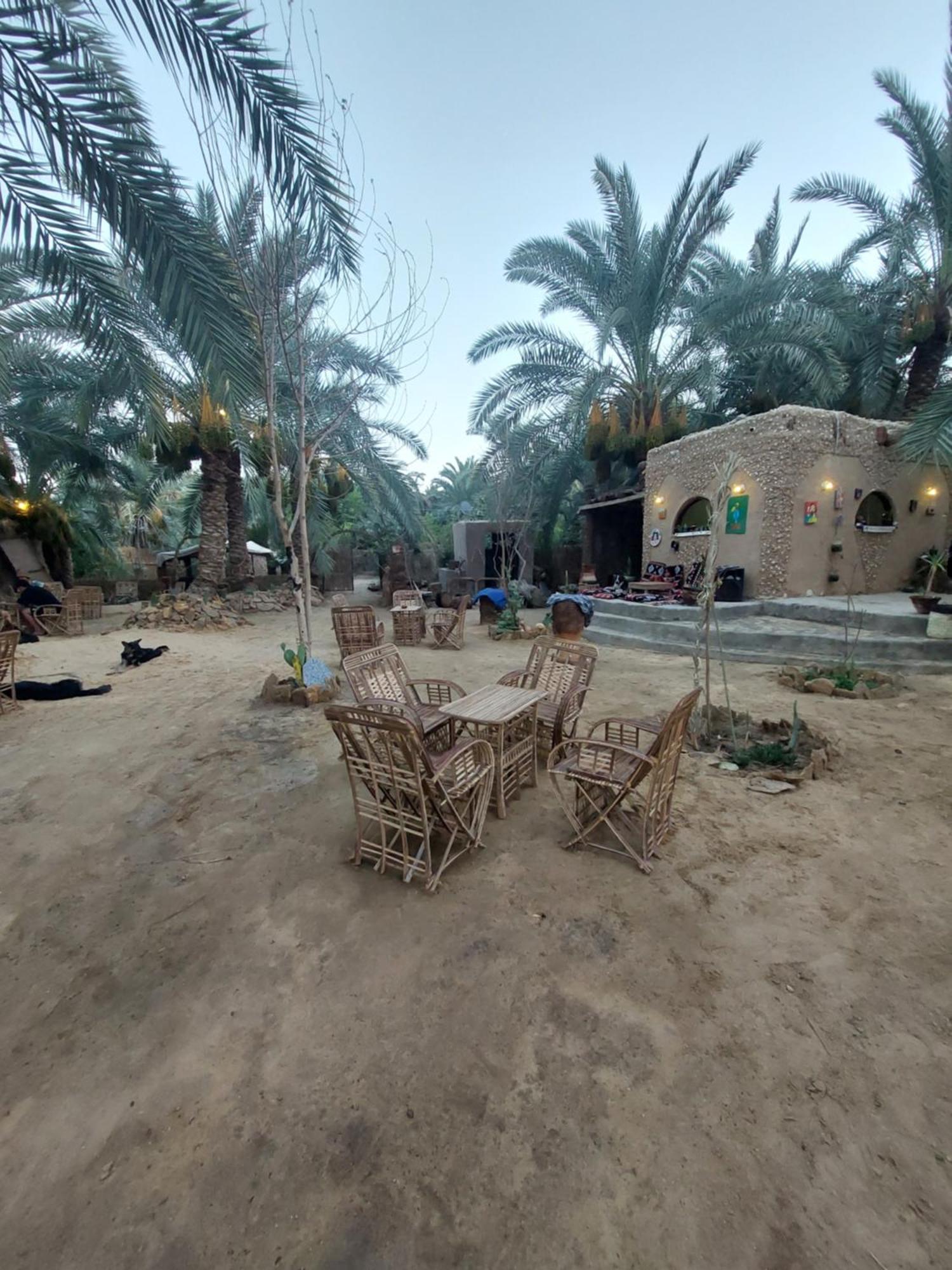 Forest Camp Siwa - كامب الغابة Siwa Oasis Zewnętrze zdjęcie