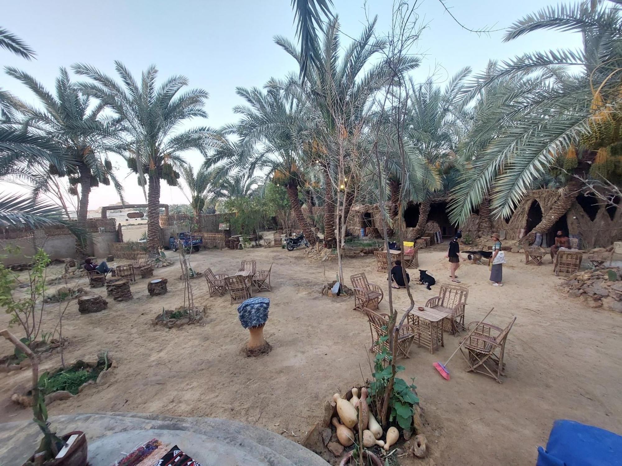 Forest Camp Siwa - كامب الغابة Siwa Oasis Zewnętrze zdjęcie