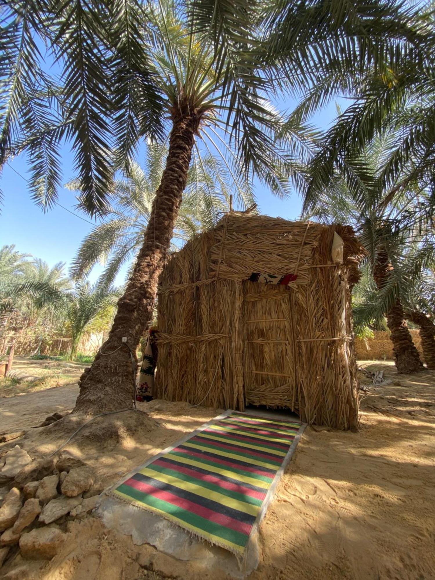 Forest Camp Siwa - كامب الغابة Siwa Oasis Zewnętrze zdjęcie