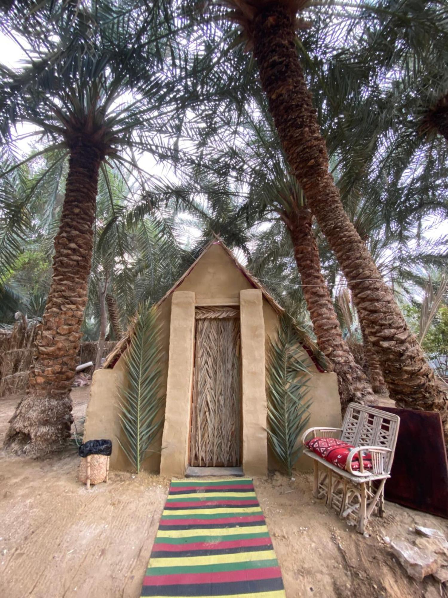 Forest Camp Siwa - كامب الغابة Siwa Oasis Zewnętrze zdjęcie