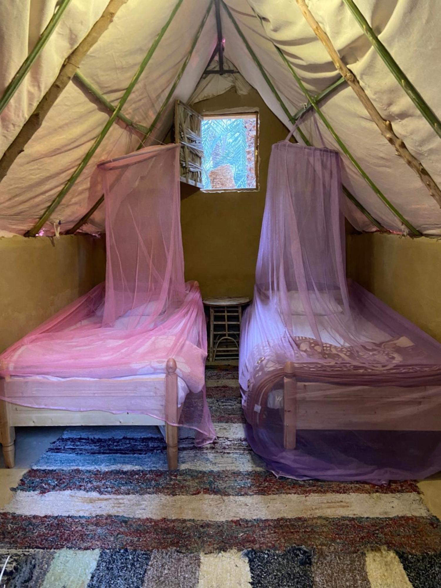 Forest Camp Siwa - كامب الغابة Siwa Oasis Zewnętrze zdjęcie