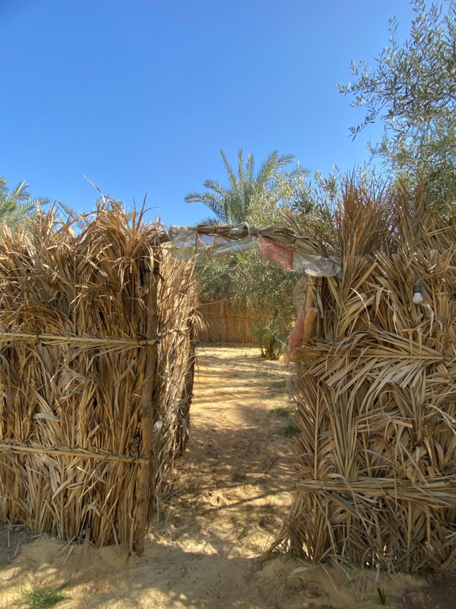 Forest Camp Siwa - كامب الغابة Siwa Oasis Zewnętrze zdjęcie